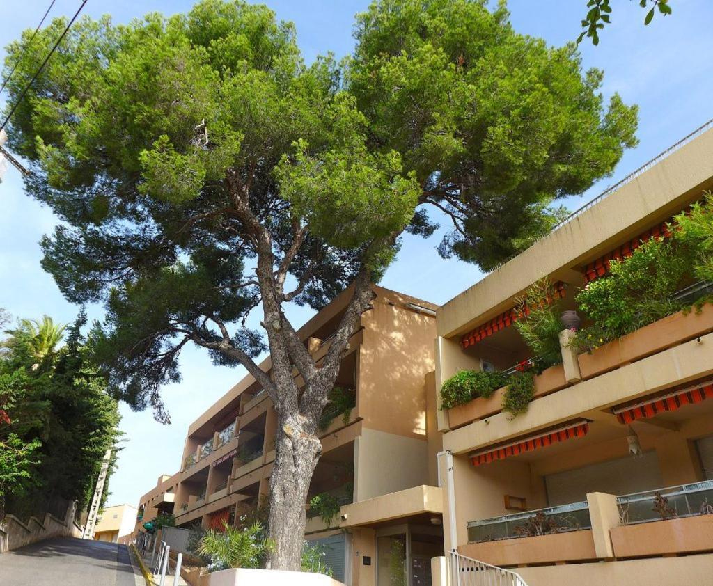 Studio Val Gardénias Bandol Esterno foto