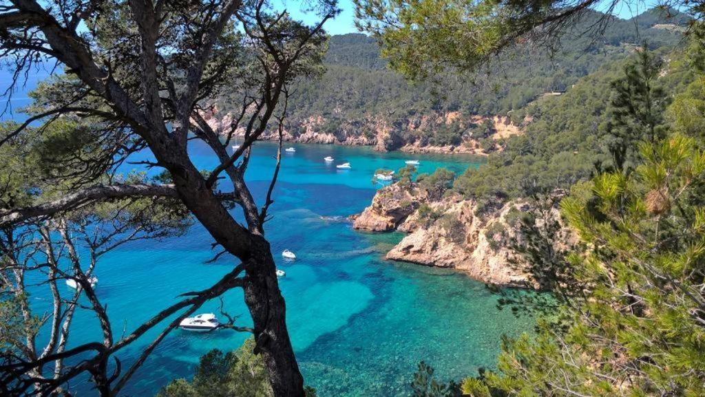 Studio Val Gardénias Bandol Esterno foto