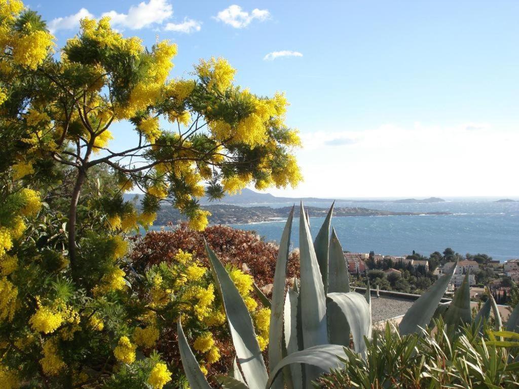 Studio Val Gardénias Bandol Esterno foto